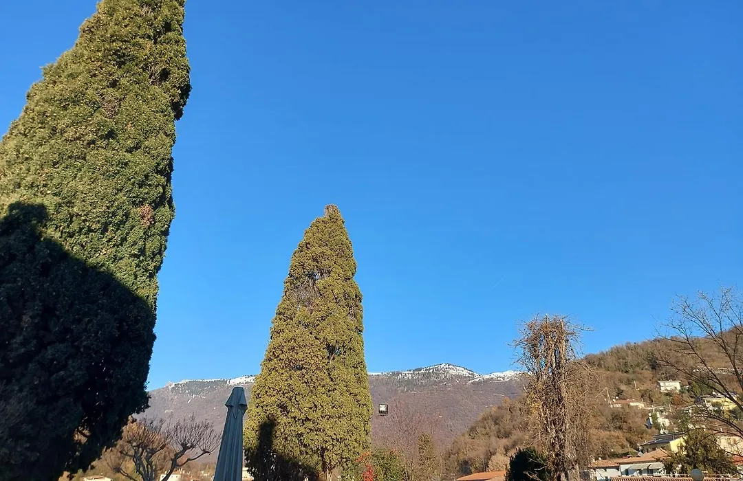 Albergo Ristorante Ai Pini-1
